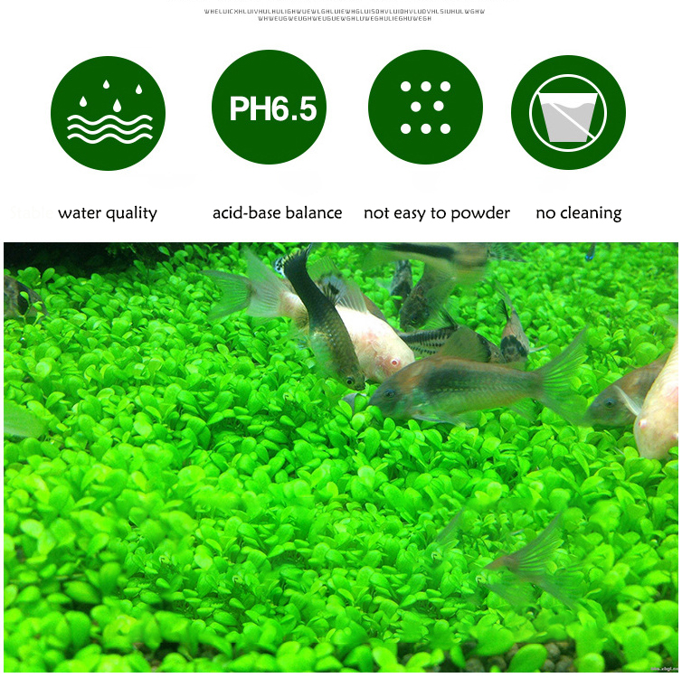 Aquarium Plant Seeds Soil Fish - Aquarium Plant Growth avis et prix