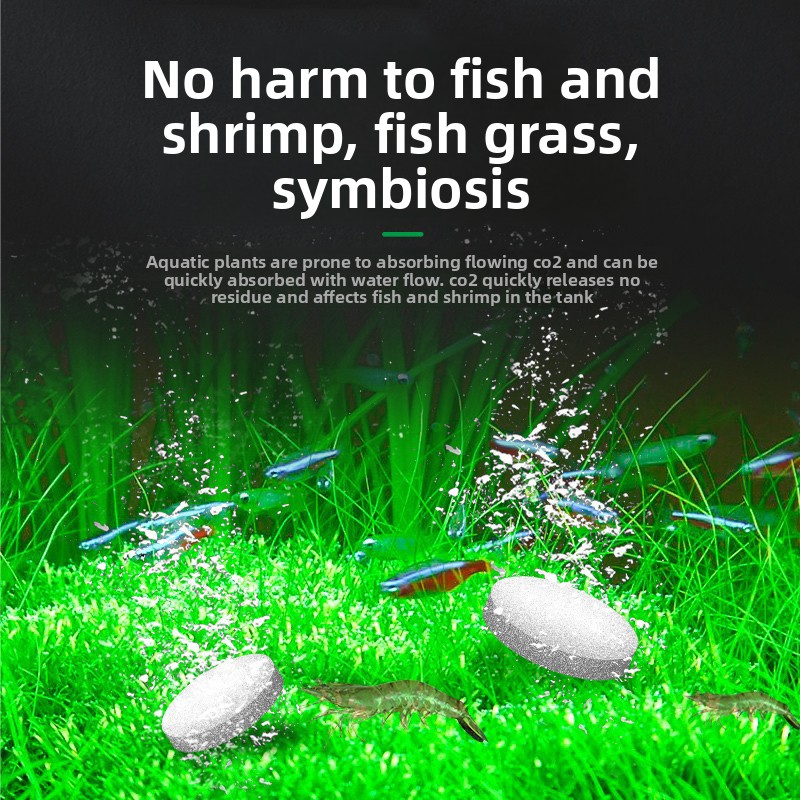 FKSC CO2 Booster Tablets for A - Aquarium Plant Yellowing avis et prix