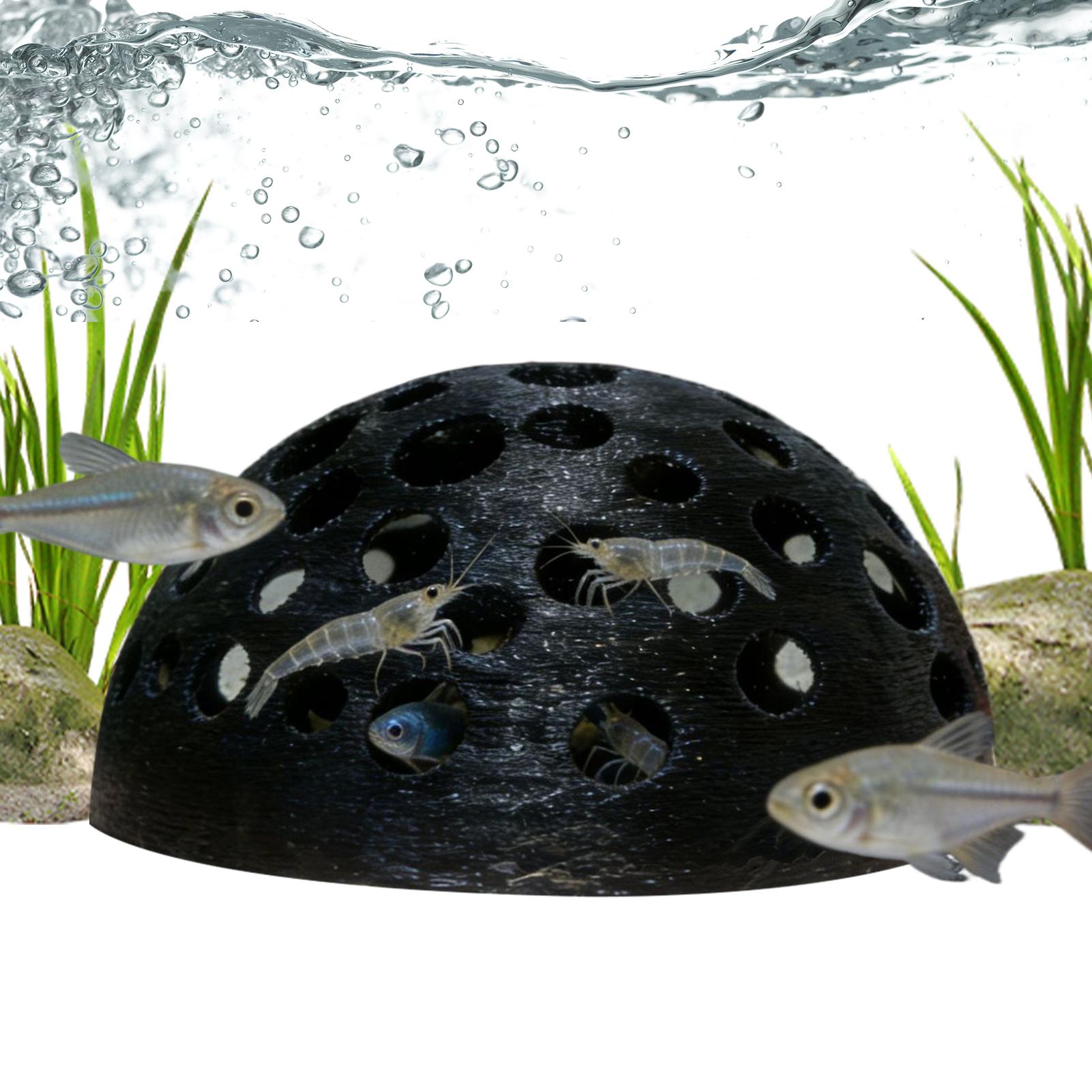 Porous Shrimp Cave Natural Dom - Aquarium Planted Shop avis et prix