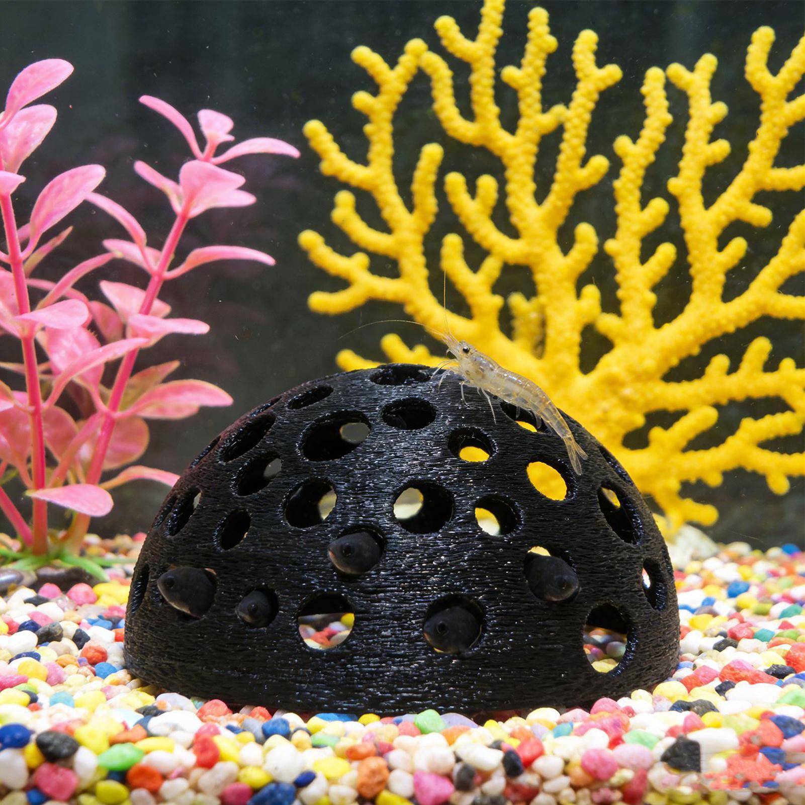 Porous Shrimp Cave Natural Dom - Aquarium Planted Shop avis et prix