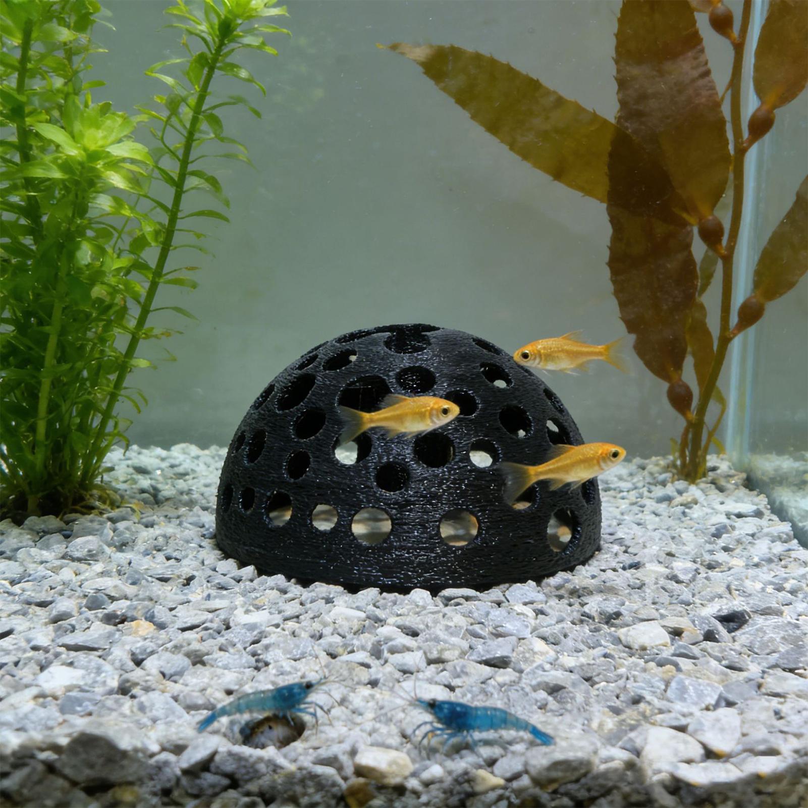 Porous Shrimp Cave Natural Dom - Aquarium Planted Shop avis et prix