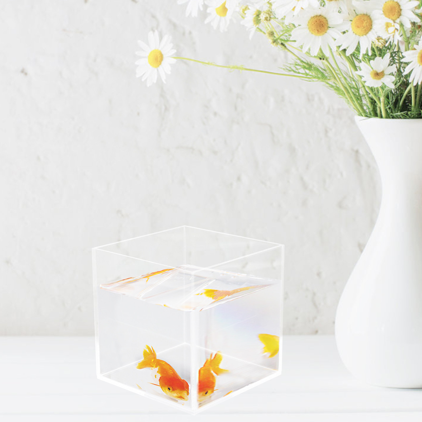 Small Acrylic Mini Aquarium Ta - Aquarium Planted Shop avis et prix