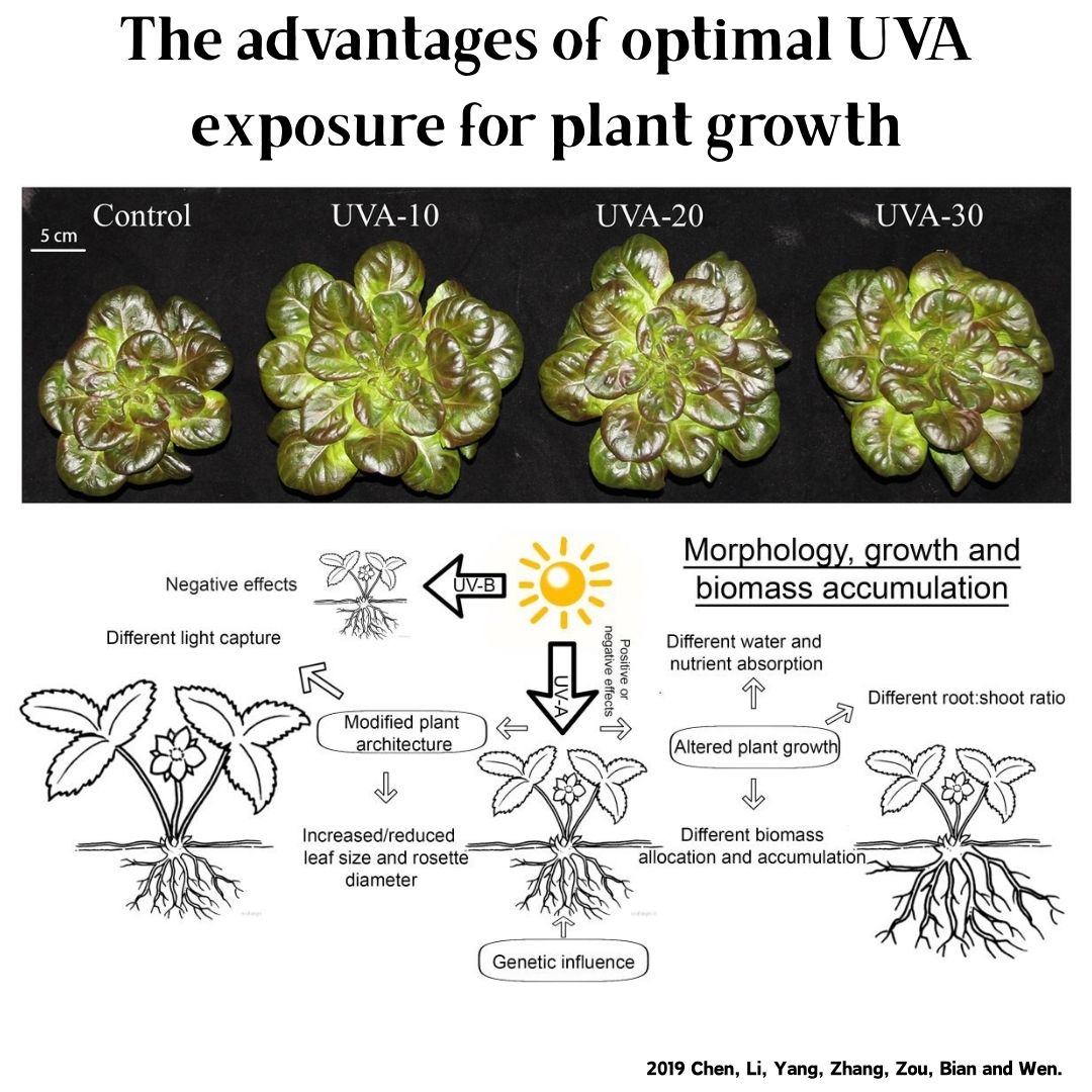 Week Aqua M Series RGB+UV Wate - Aquarium Plant Grow Light avis et prix