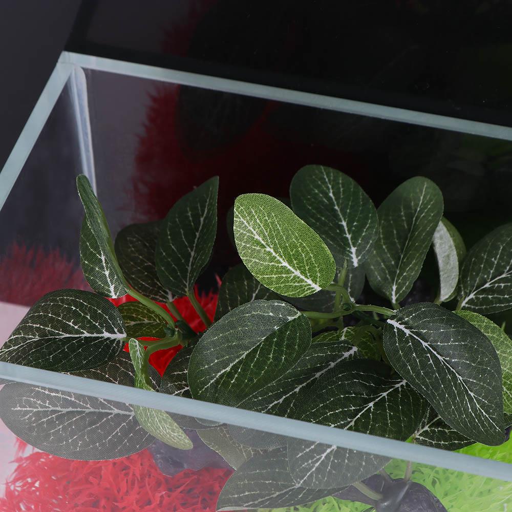 Lifelike Realistic Simulated f - Planted Aquarium Jar avis et prix
