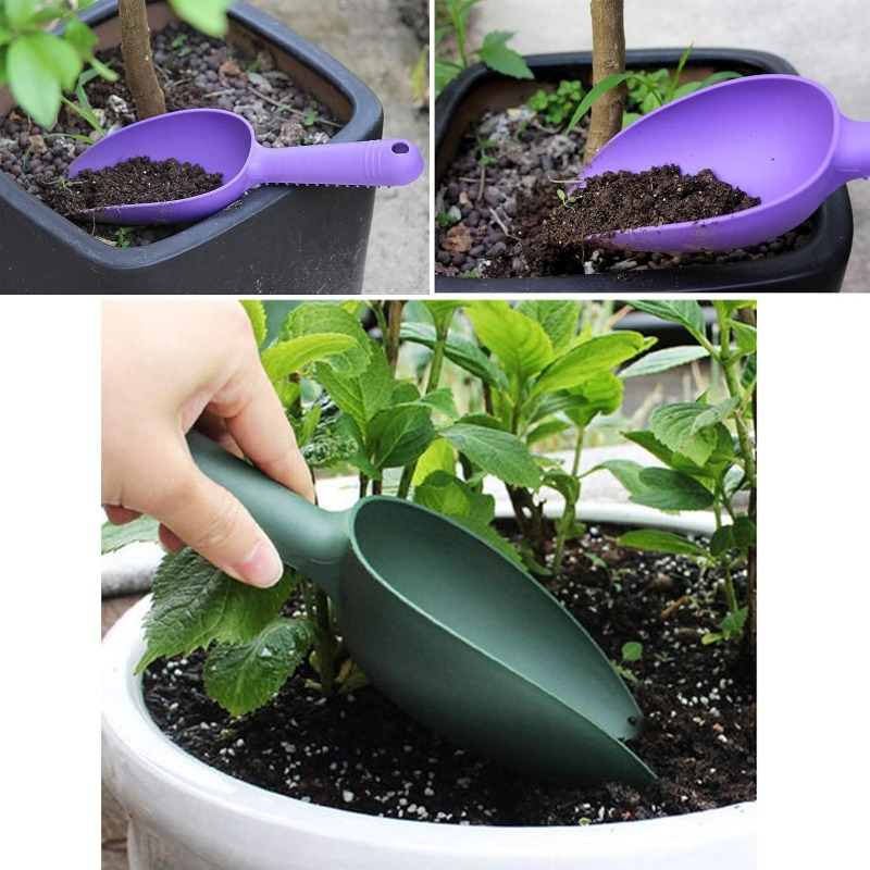 Multifunctional Flower and Veg - Tissue Culture Plant avis et prix