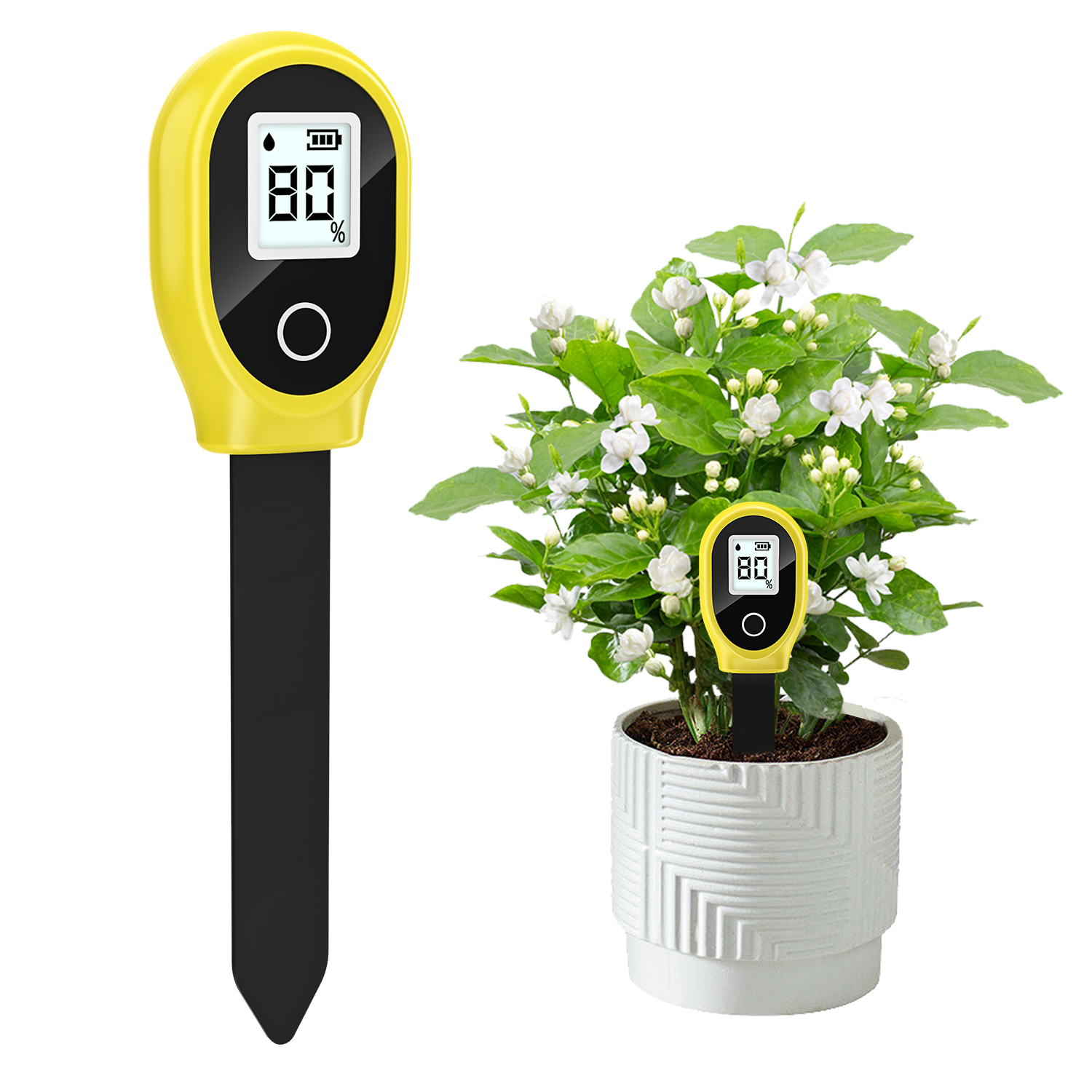 Soil Moisture Sensor Monitor P - Tissue Culture Plant avis et prix