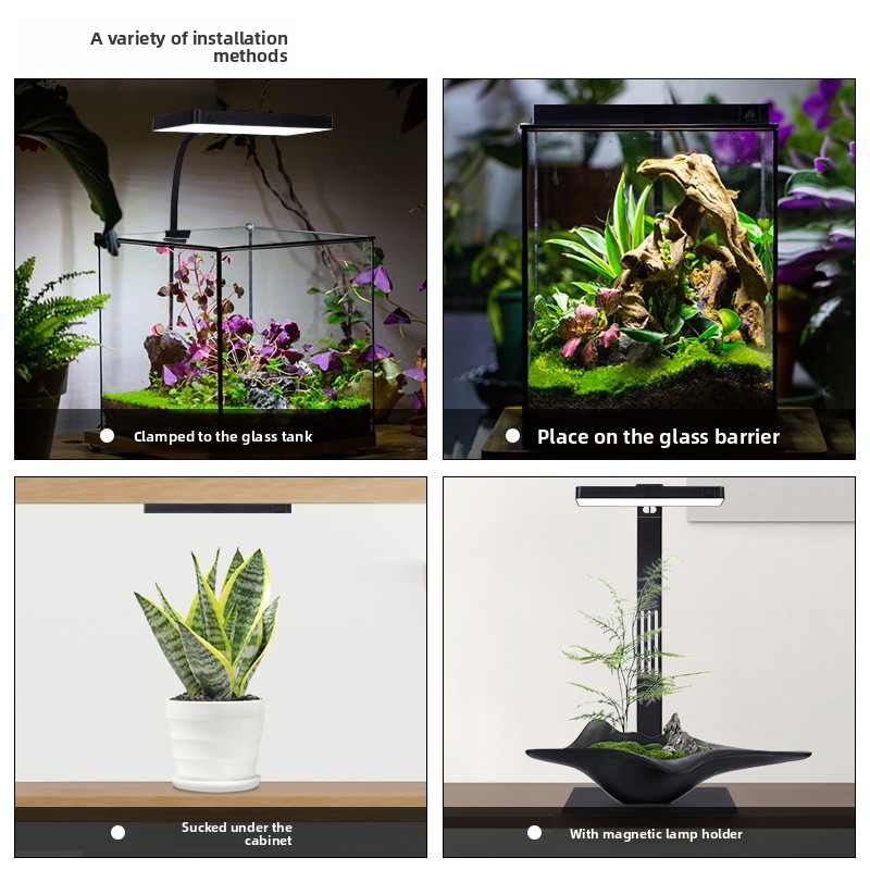 Week Aqua Mini9Pro Magnetic Cl - Planted Aquarium Jar avis et prix